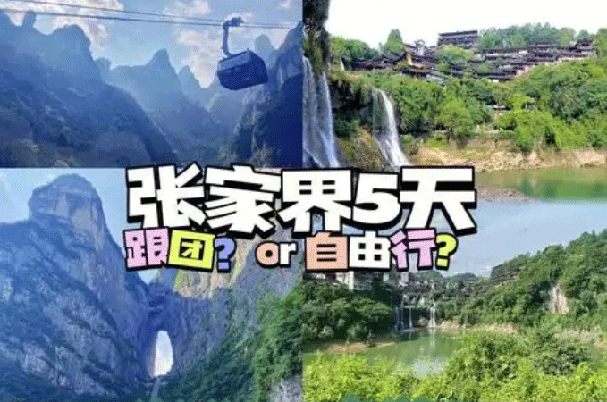春節(jié)去張家界報(bào)團(tuán)旅游哪個(gè)旅行社好？跟團(tuán)游和自由行哪個(gè)好！